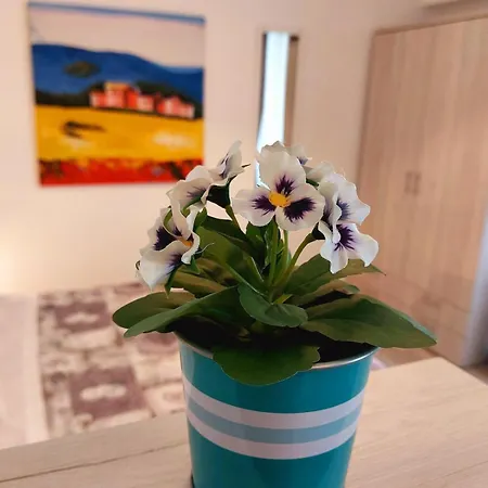 Casetta Sul Melo Appartamento Bari